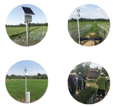 20200603162200033394.png V.png